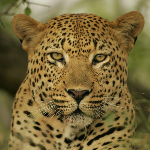 Hd-147170-ascw147170