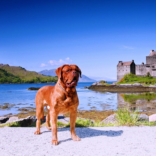 Hd-142644-ascw142644