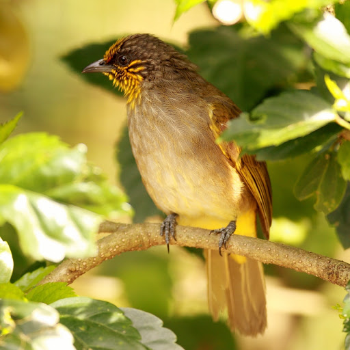 Hd-183966-ascw183966