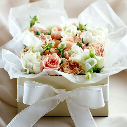 Hd-131615-ascw131615