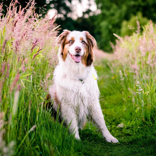 Hd-136123-ascw136123