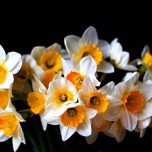 Hd-145914-ascw145914