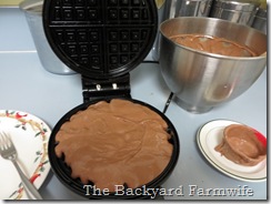 chocolate waffle - The Backyard Farmwife