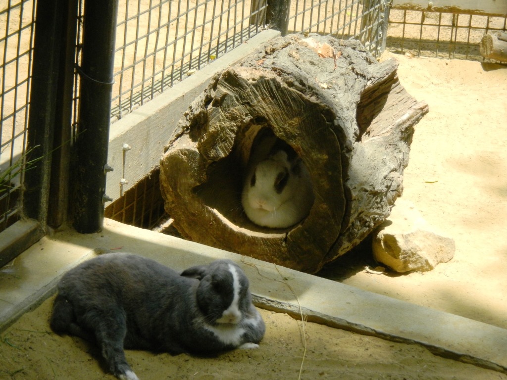 [DSCN5571%2520-%2520Kopie%255B4%255D.jpg]