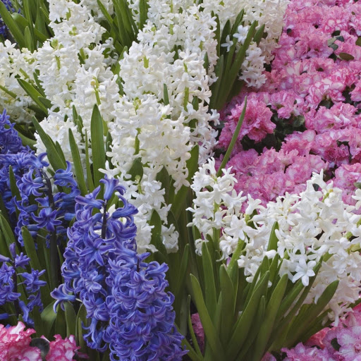 Hd-148285-ascw148285