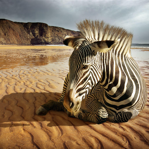 Hd-134653-ascw134653