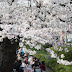 DA★ 16-50mm F2.8ED AL[IF]SDM
