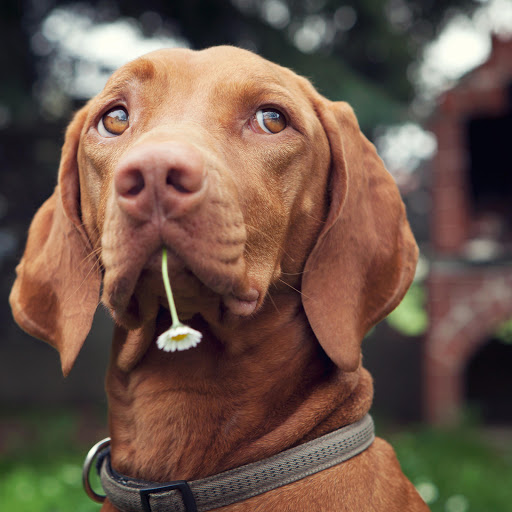 Hd-166373-ascw166373