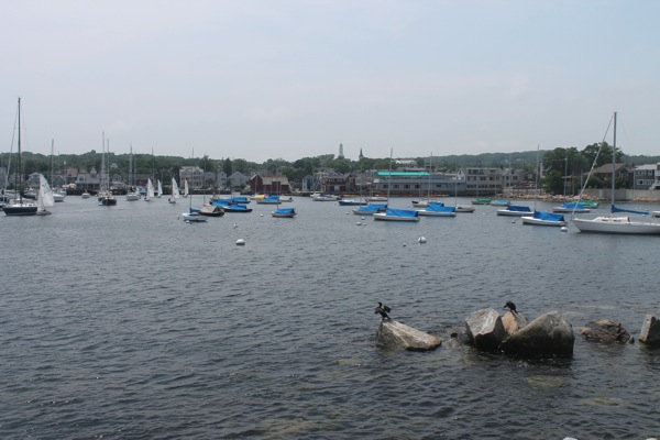 IMG_9217.JPG IMG 9217