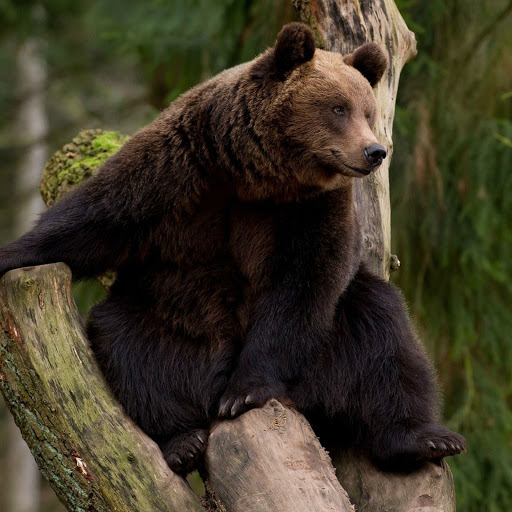 Hd-180403-ascw180403