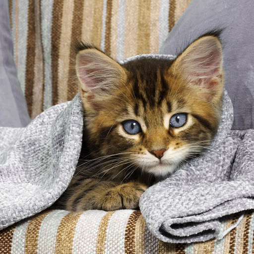 Hd-141878-ascw141878