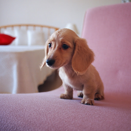 Hd-145586-ascw145586