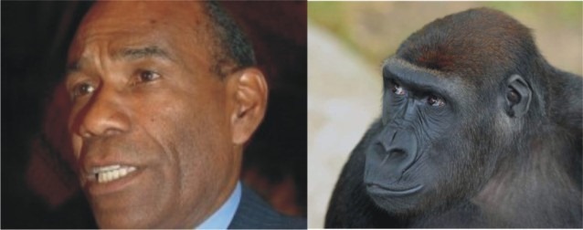 [13.jpg%25282%2529%255B2%255D.jpg]