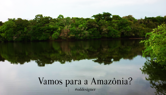 Viagem para a Amazônia