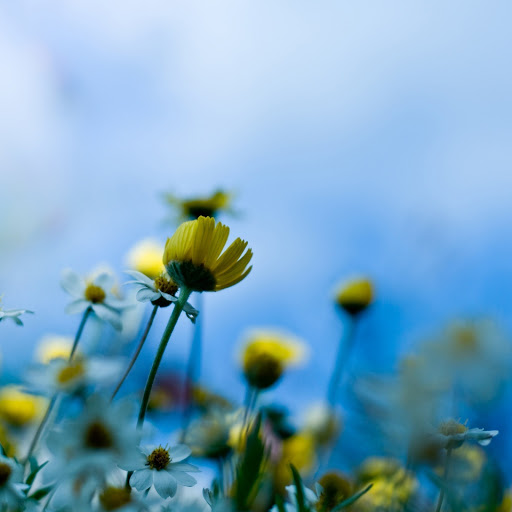 Hd-146076-ascw146076