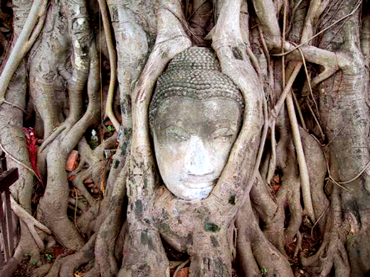 [11_large1%255B12%255D.png]