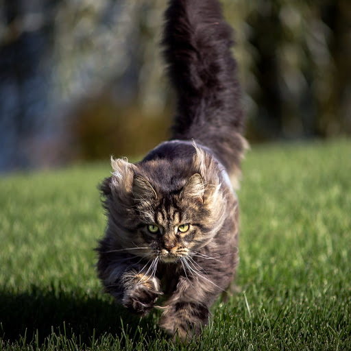 Hd-145558-ascw145558