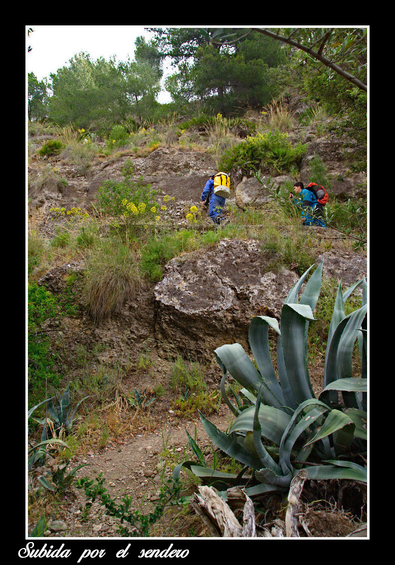 Subida por el sendero Subida por el sendero