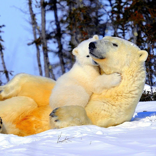 Hd-137958-ascw137958