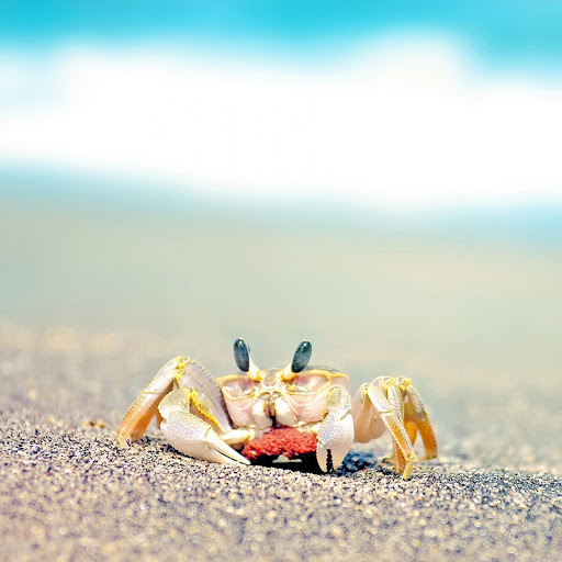 Hd-147023-ascw147023