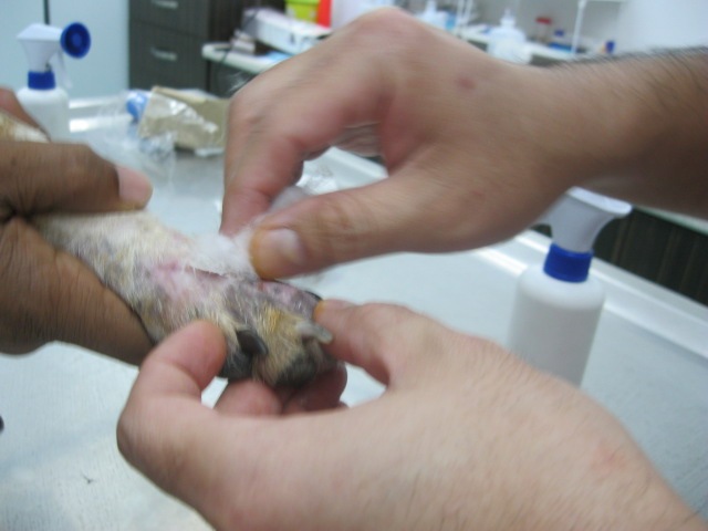 [IMG_1207%255B3%255D.jpg]