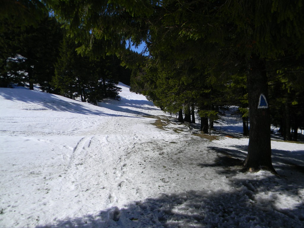 [DSCN62093.jpg]
