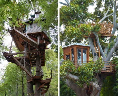 tree-house-modern-building.jpg