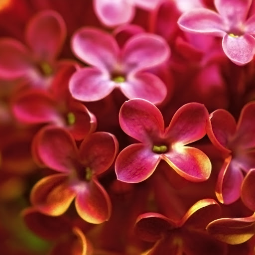 Hd-144300-ascw144300