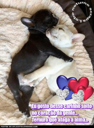 photo_name.gif