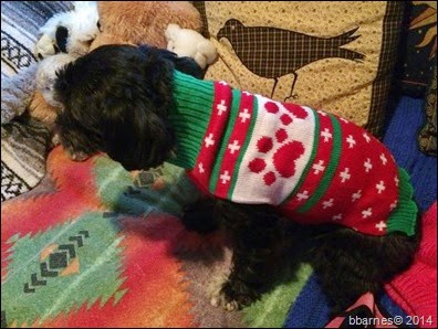 Maggie Christmas sweater 12222014