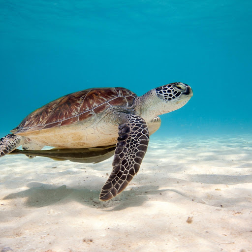 Hd-154422-ascw154422