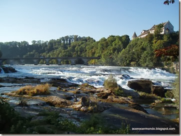 44-Cataratas del Rin (Schafhausen) - P9050213