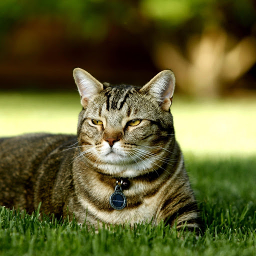 Hd-179034-ascw179034