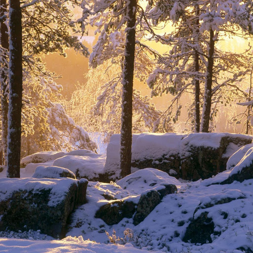 Hd-132510-ascw132510