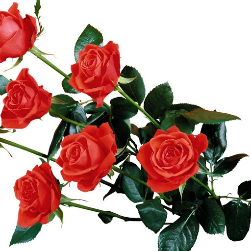 Hd-147663-ascw147663