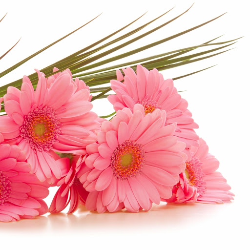 Hd-190530-ascw190530