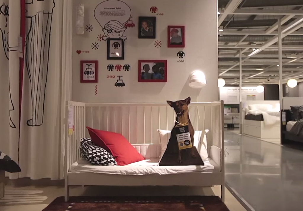[IKEA%2520and%2520Dogs%252003%255B4%255D.png]