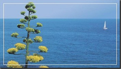 Riviera_mare_350x200 Riviera_mare_350x200