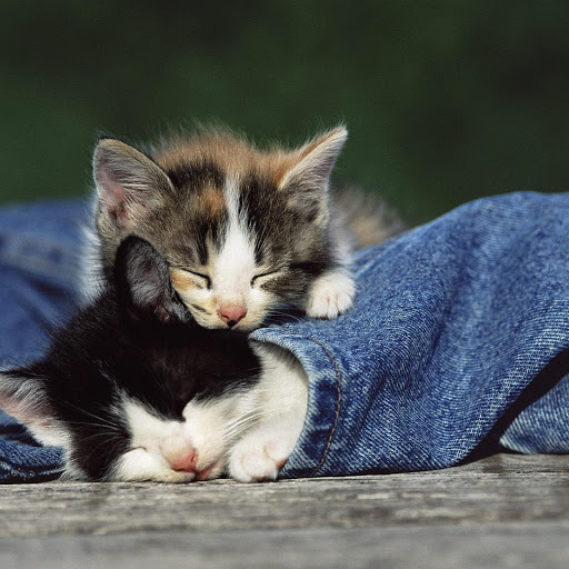 Hd-181302-ascw181302