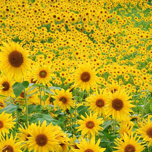 Hd-182644-ascw182644