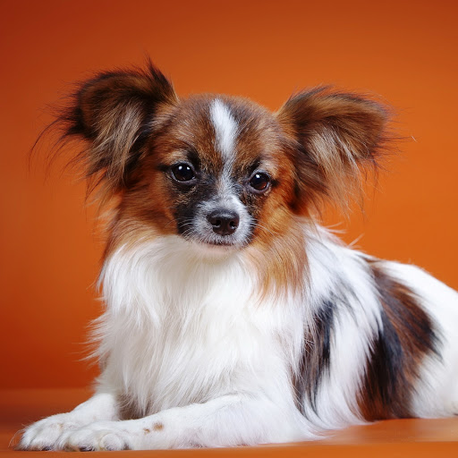 Hd-147586-ascw147586