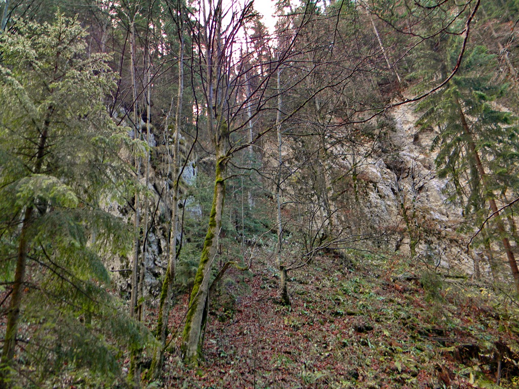 [DSCN98973.jpg]