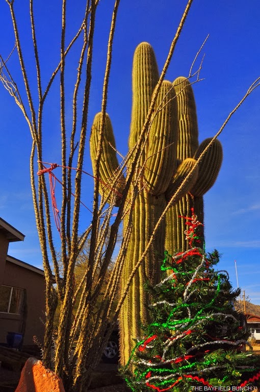 [DSC_0006%255B4%255D.jpg]