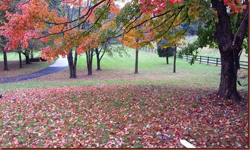 20141022_142405 20141022_142405