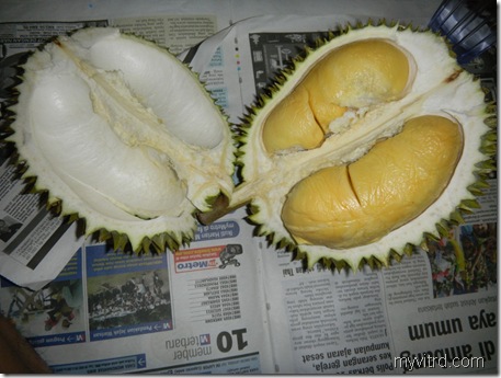 2 Durian D24