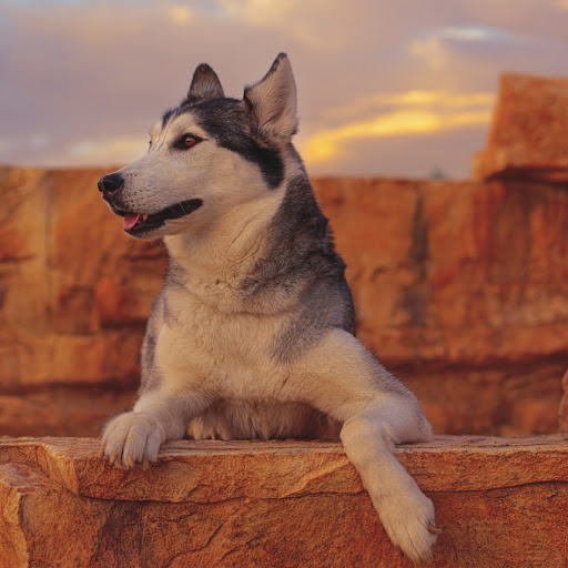 Hd-178763-ascw178763