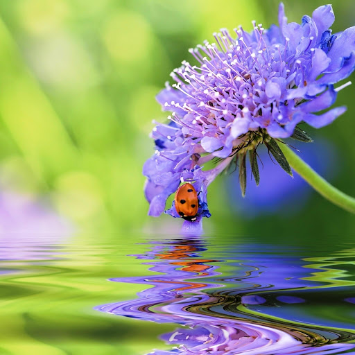 Hd-147419-ascw147419