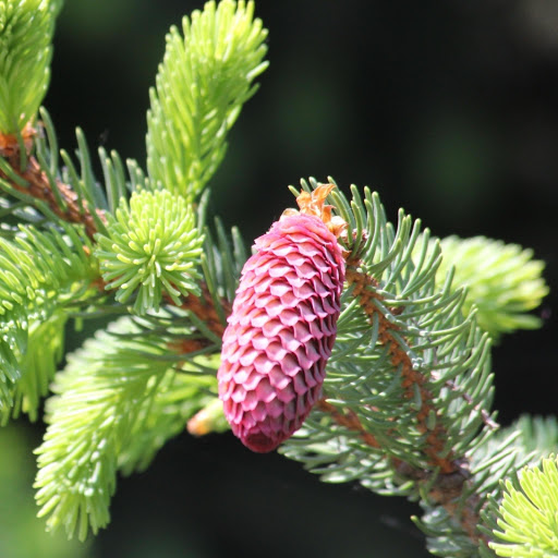 Hd-183366-ascw183366