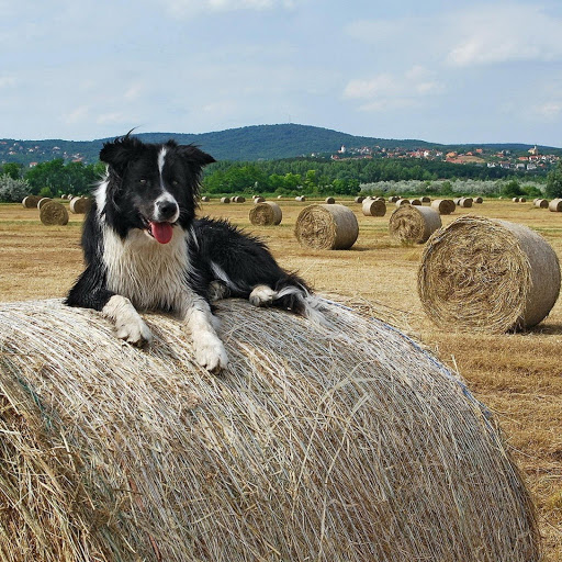 Hd-180688-ascw180688