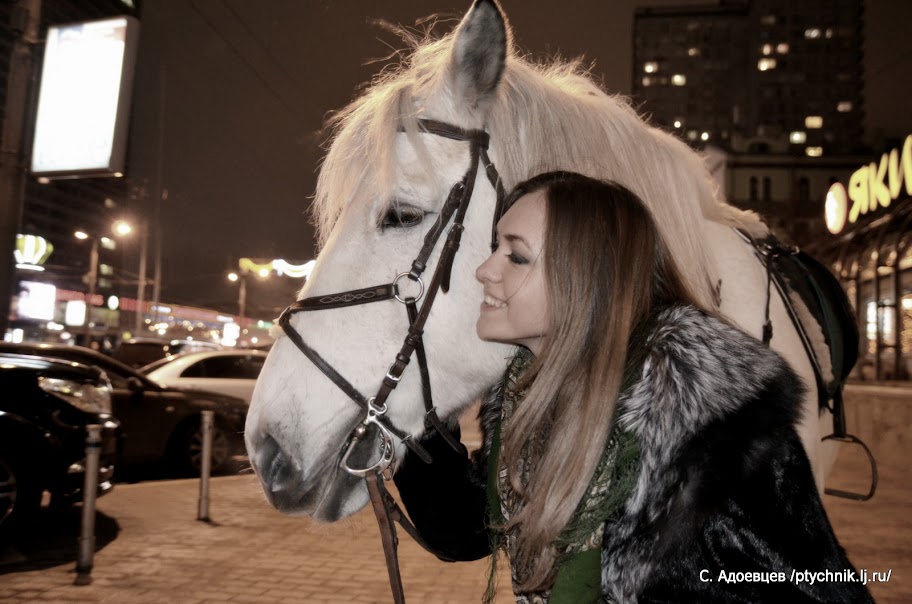 Москва Арбат лошадь. Лошадь Маша. Журнал лошадь Маша.